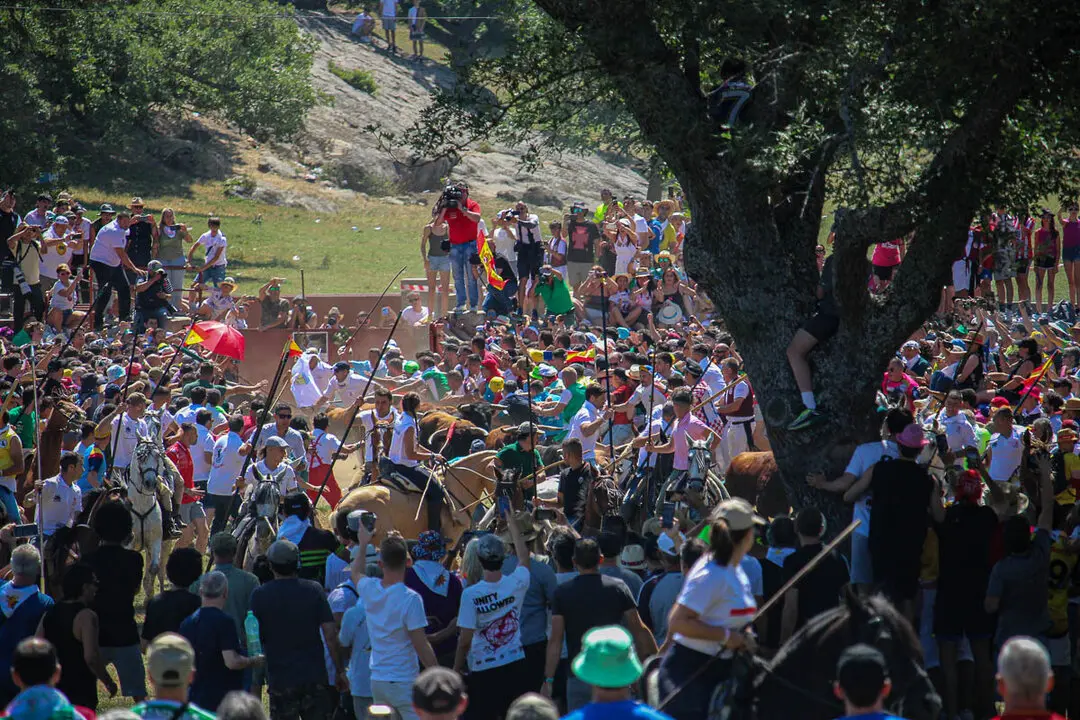 Salida de la Saca de frente-21