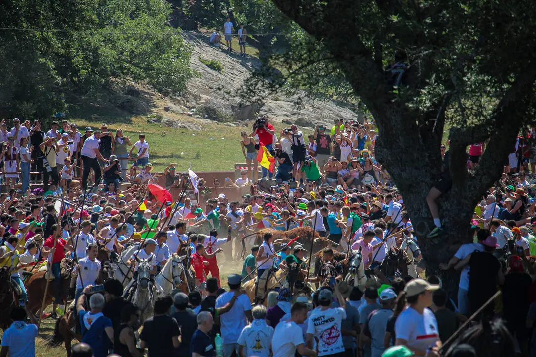 Salida de la Saca de frente-22