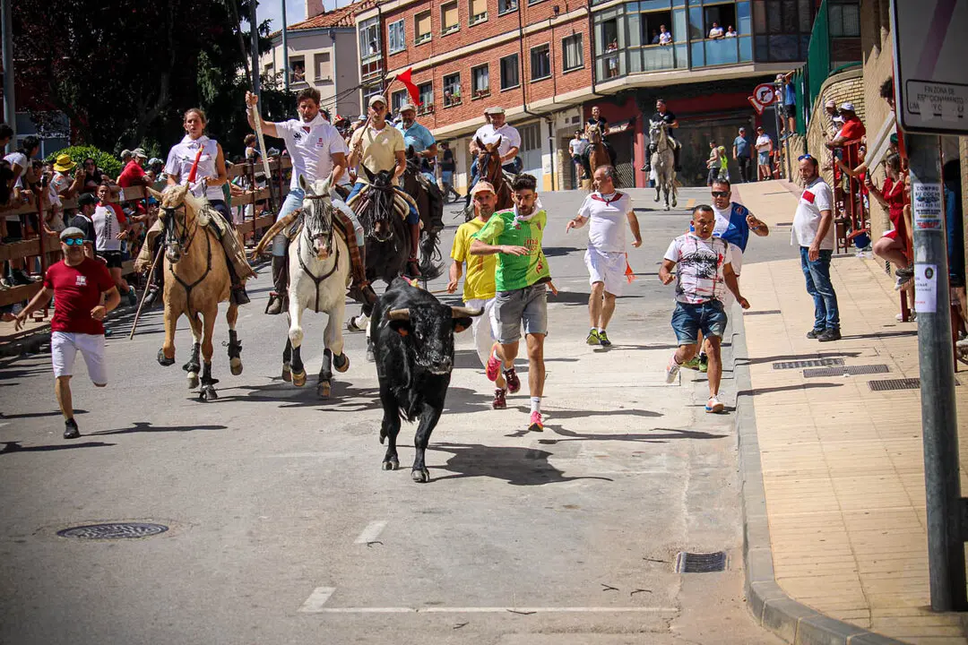 Llegada de La Saca a la plaza de Toros-2