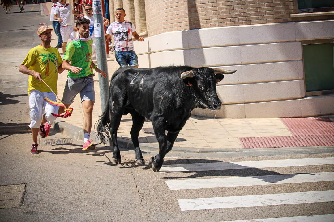 Llegada de La Saca a la plaza de Toros-4