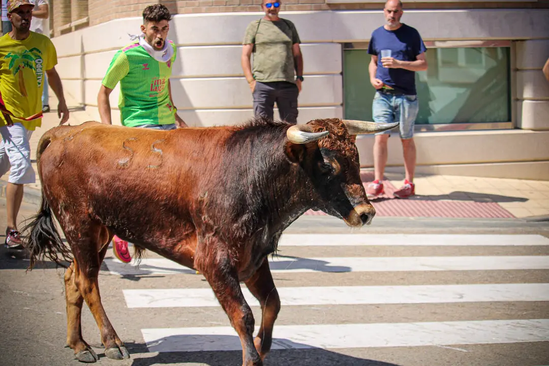 Llegada de La Saca a la plaza de Toros-12