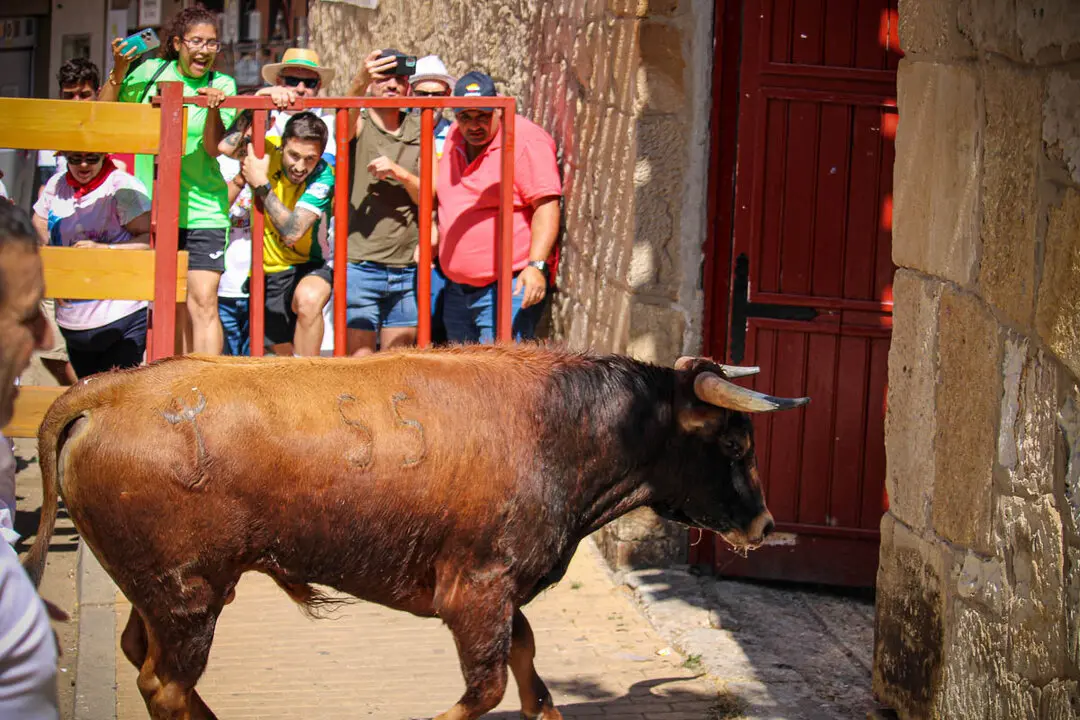 Llegada de La Saca a la plaza de Toros-13
