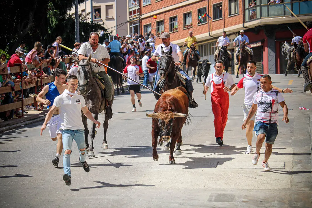 Llegada de La Saca a la plaza de Toros-14