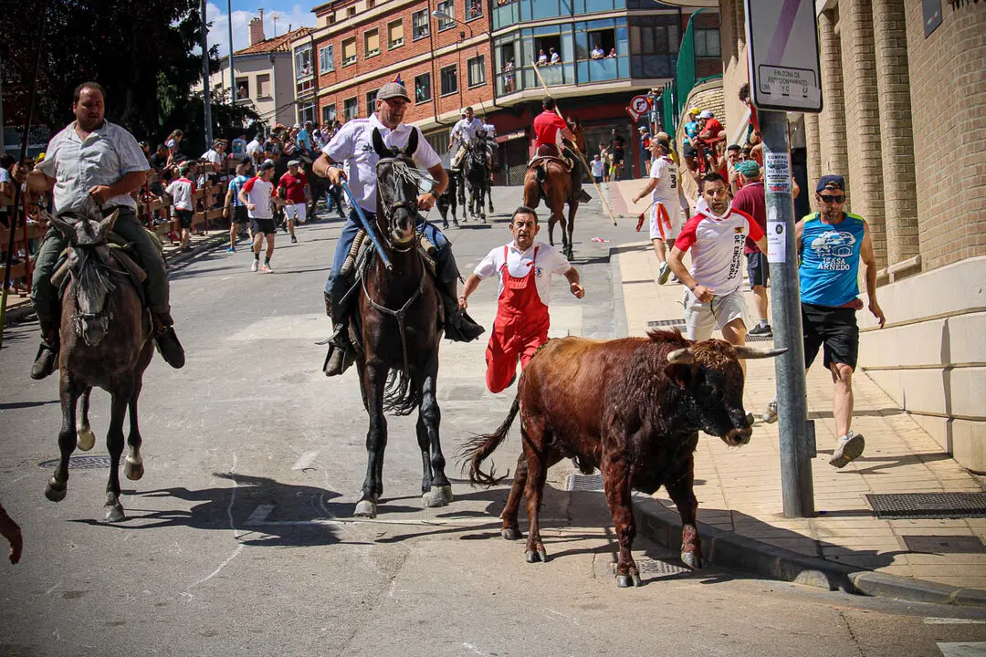 Llegada de La Saca a la plaza de Toros-16