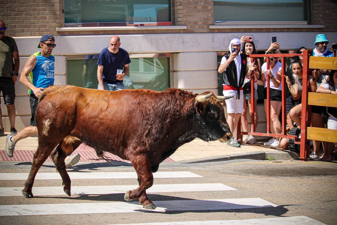 Llegada de La Saca a la plaza de Toros-17
