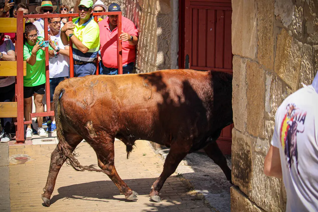 Llegada de La Saca a la plaza de Toros-19