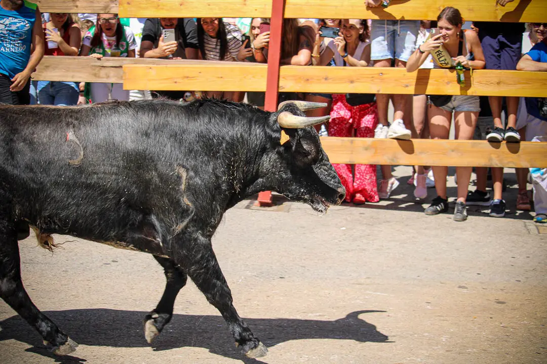 Llegada de La Saca a la plaza de Toros-20