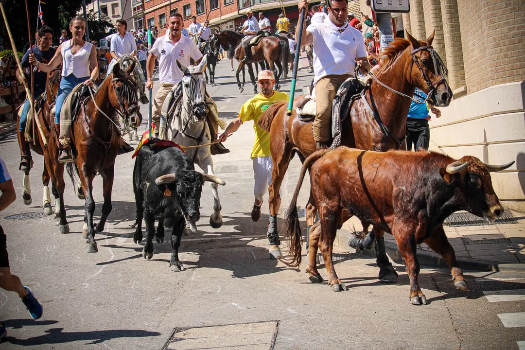 Llegada de La Saca a la plaza de Toros-25