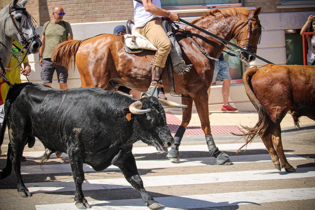 Llegada de La Saca a la plaza de Toros-27