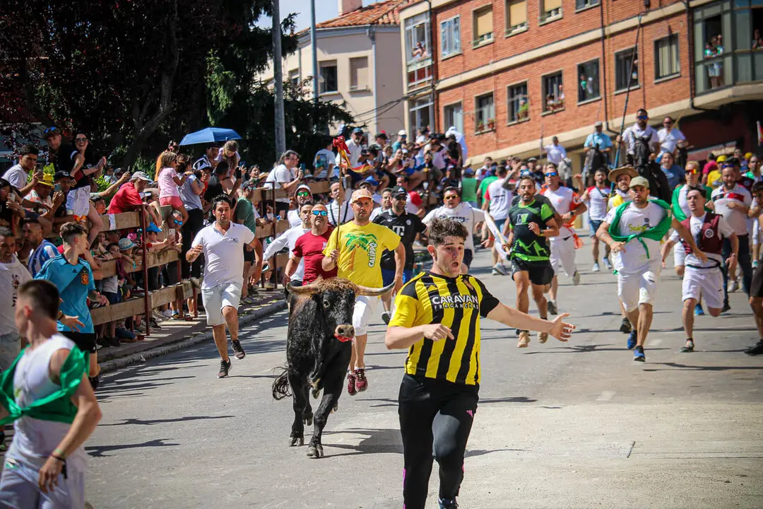 Llegada de La Saca a la plaza de Toros-33