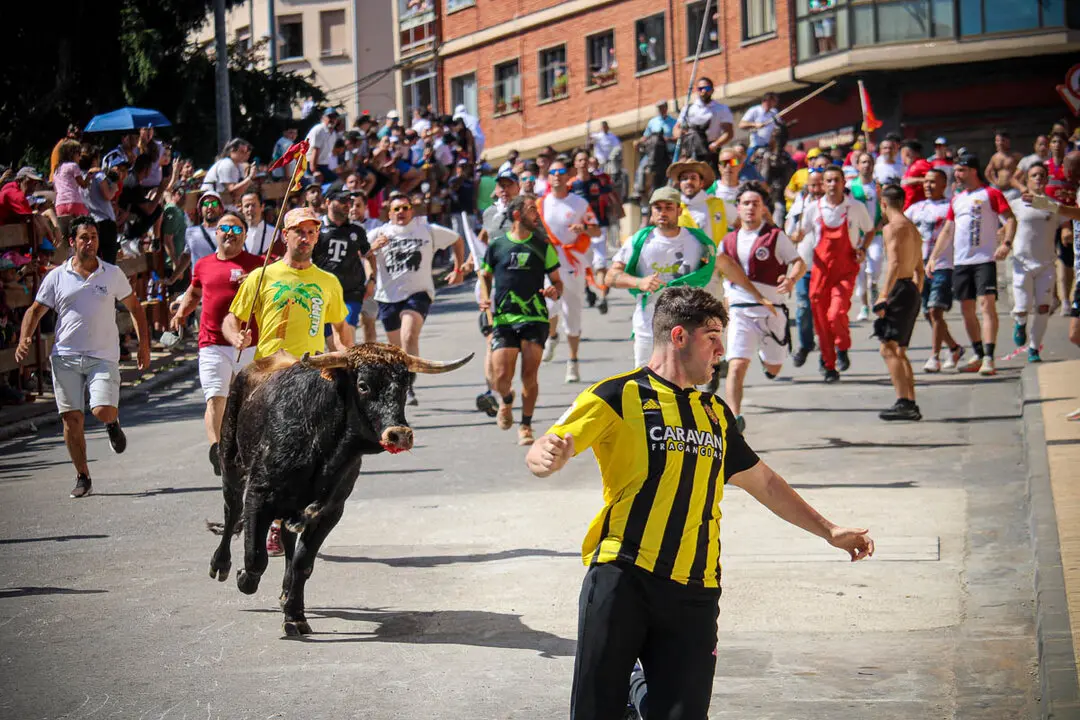 Llegada de La Saca a la plaza de Toros-34