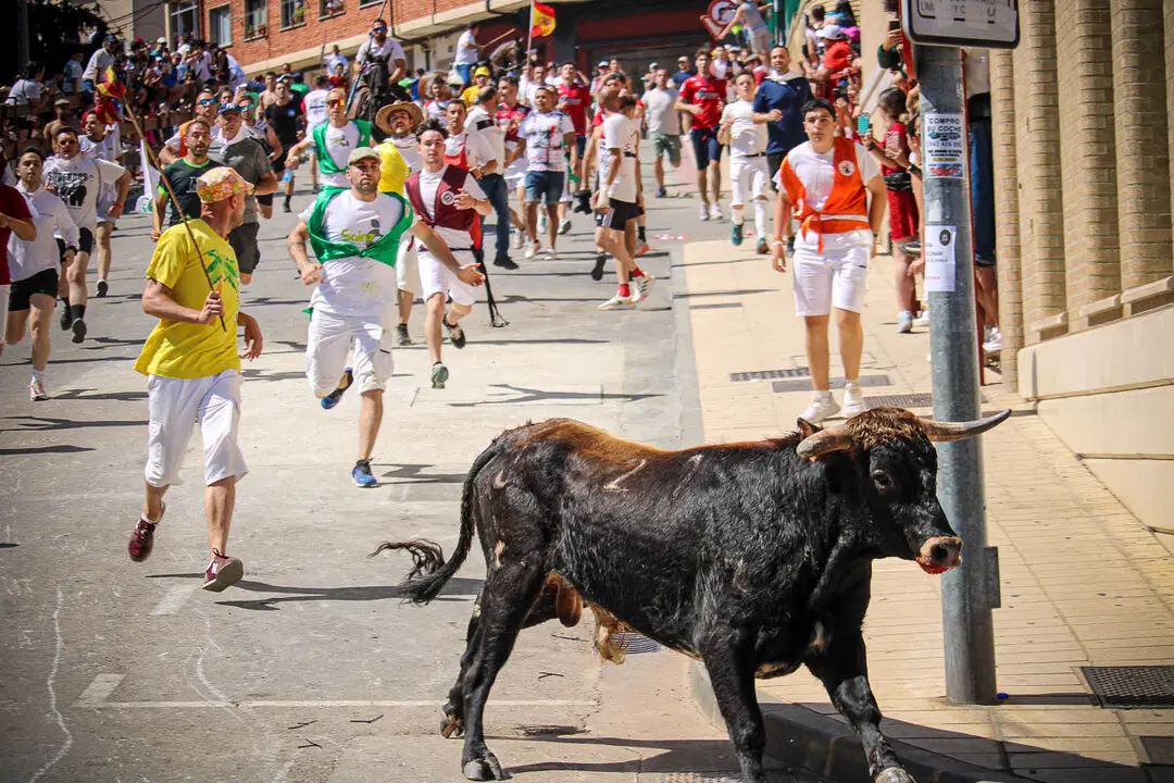 Llegada de La Saca a la plaza de Toros-35