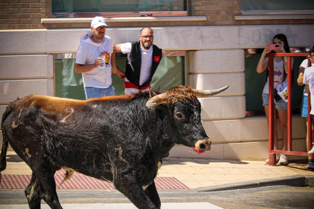 Llegada de La Saca a la plaza de Toros-36