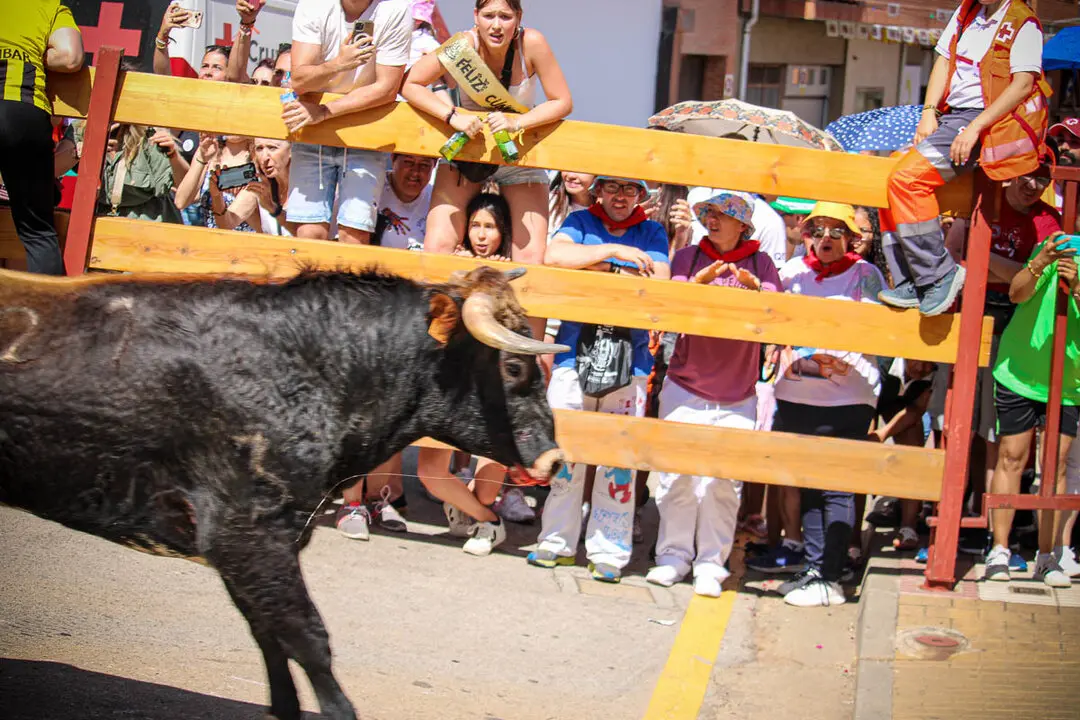 Llegada de La Saca a la plaza de Toros-37