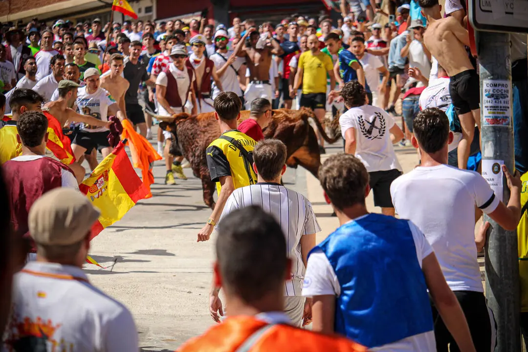 Llegada de La Saca a la plaza de Toros-41