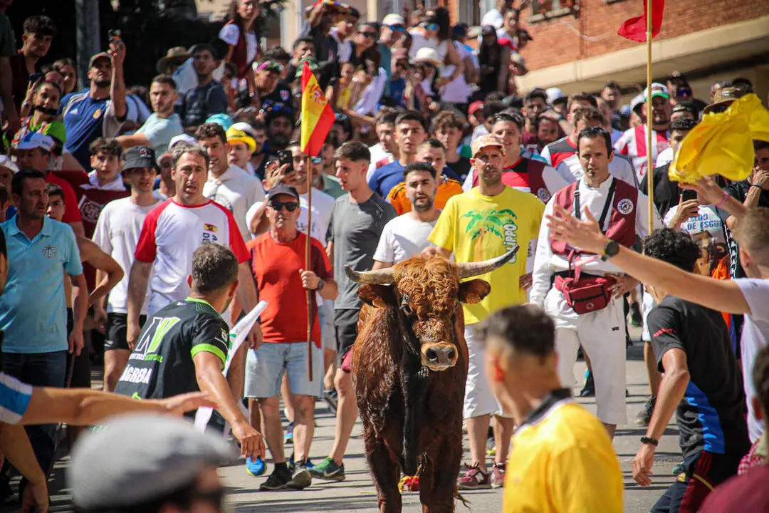 Llegada de La Saca a la plaza de Toros-43