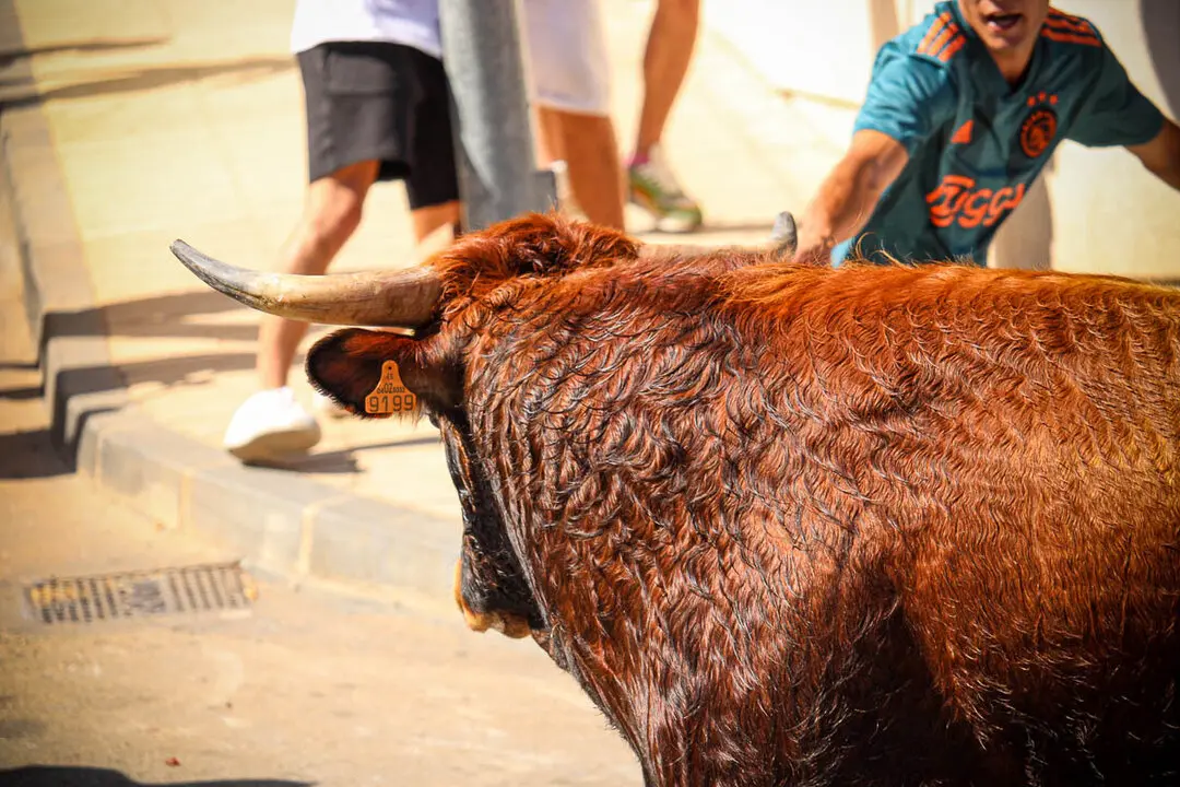 Llegada de La Saca a la plaza de Toros-48