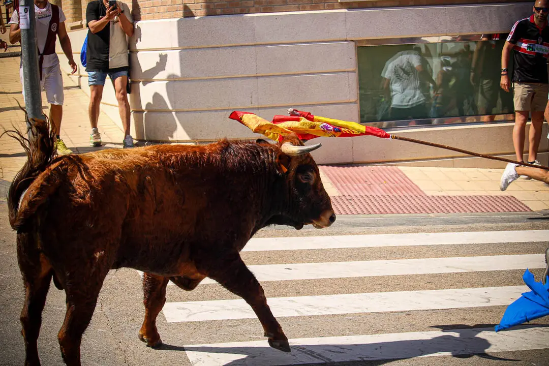 Llegada de La Saca a la plaza de Toros-49