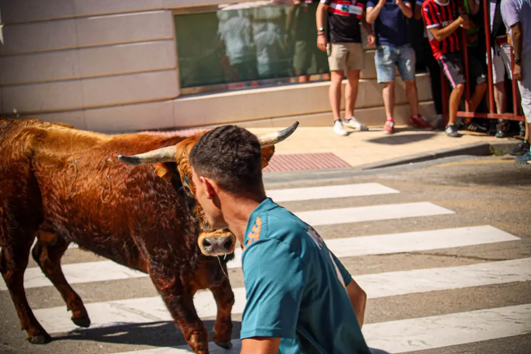 Llegada de La Saca a la plaza de Toros-50