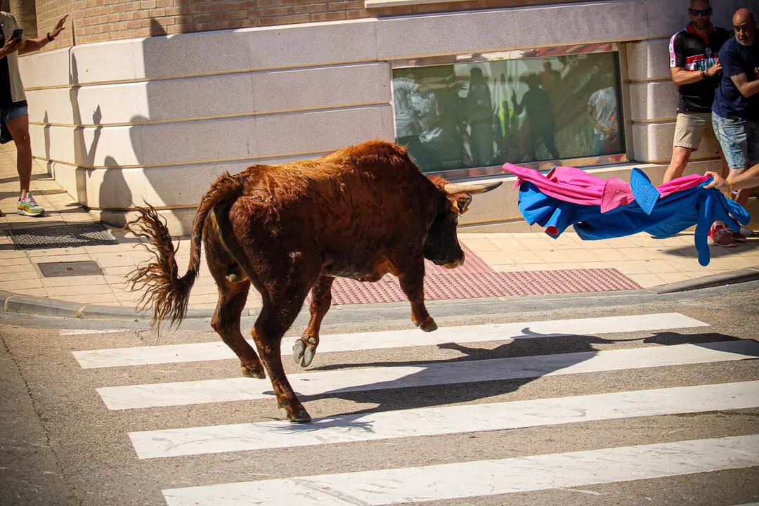 Llegada de La Saca a la plaza de Toros-51