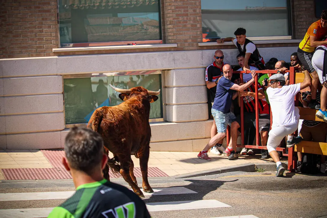 Llegada de La Saca a la plaza de Toros-52