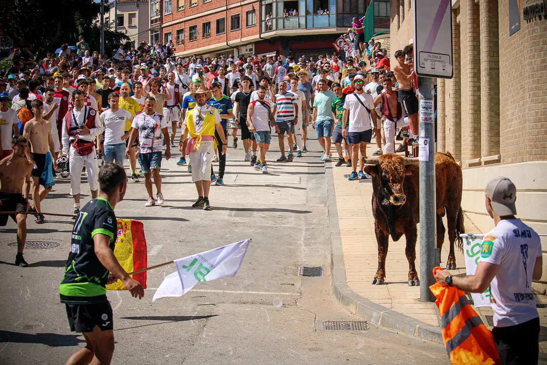 Llegada de La Saca a la plaza de Toros-54