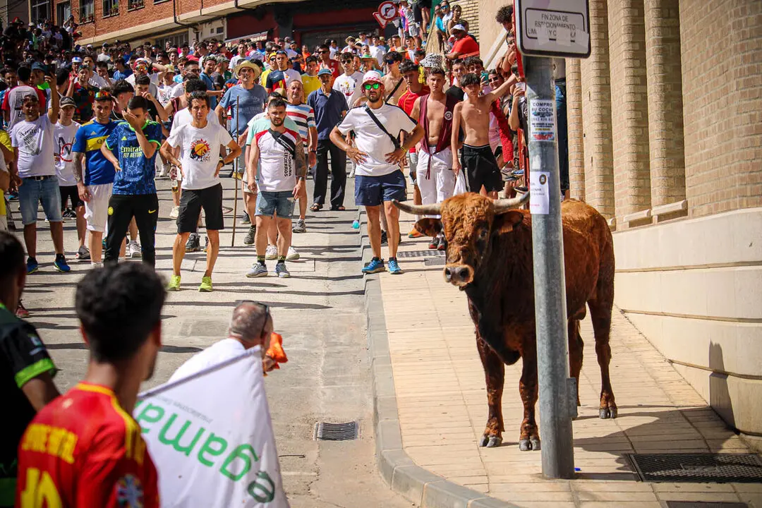 Llegada de La Saca a la plaza de Toros-56