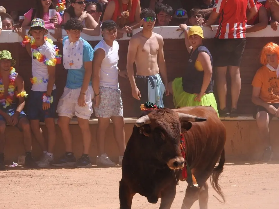 Viernes de Toros (143)