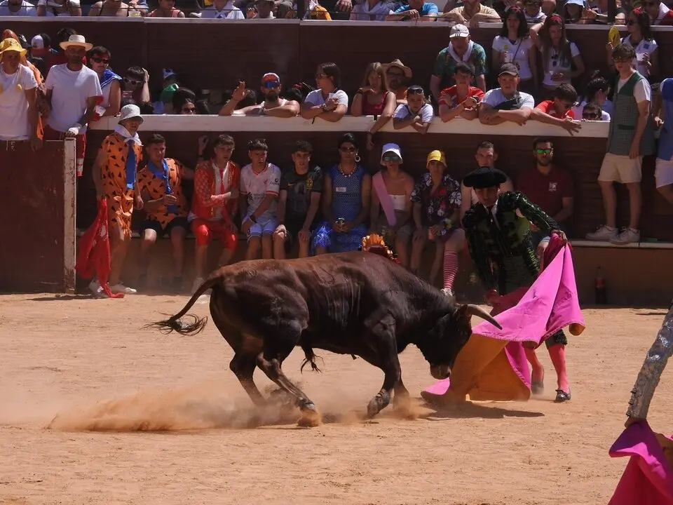 Viernes de Toros (145)