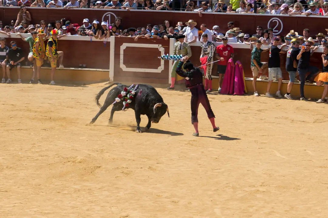Viernes de Toros (41)