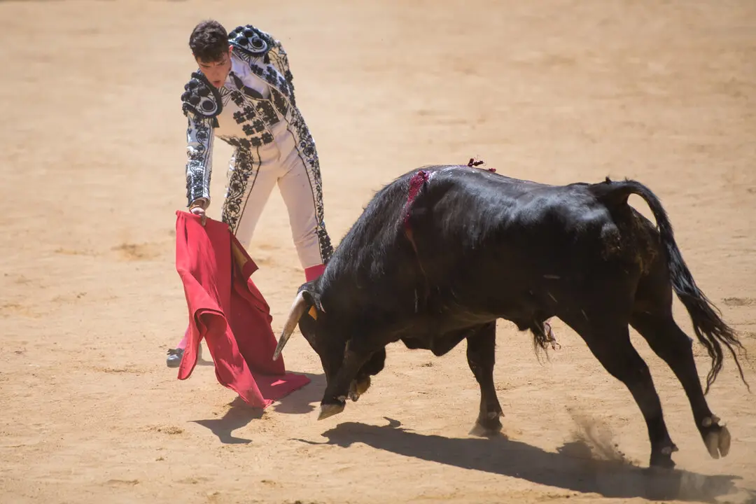 Viernes de Toros (49)