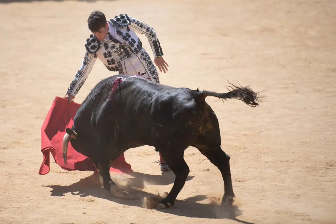 Viernes de Toros (50)