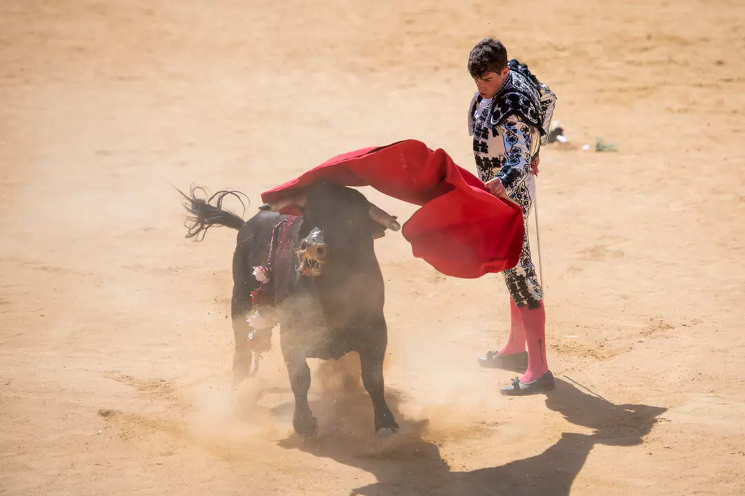 Viernes de Toros (52)