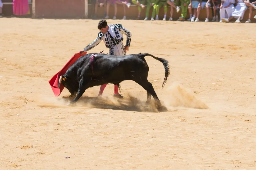 Viernes de Toros (55)