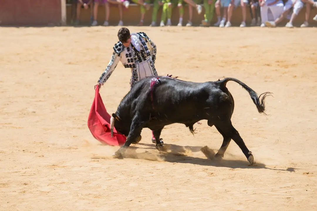 Viernes de Toros (56)