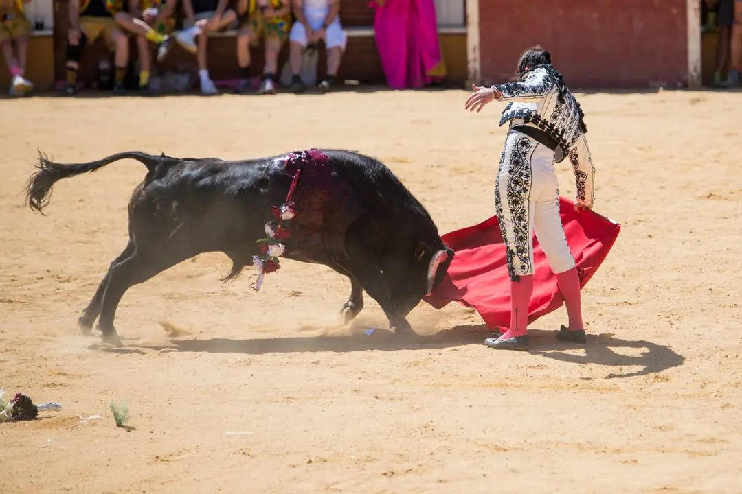 Viernes de Toros (58)