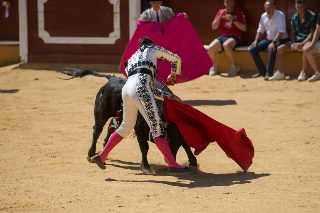 Viernes de Toros (61)
