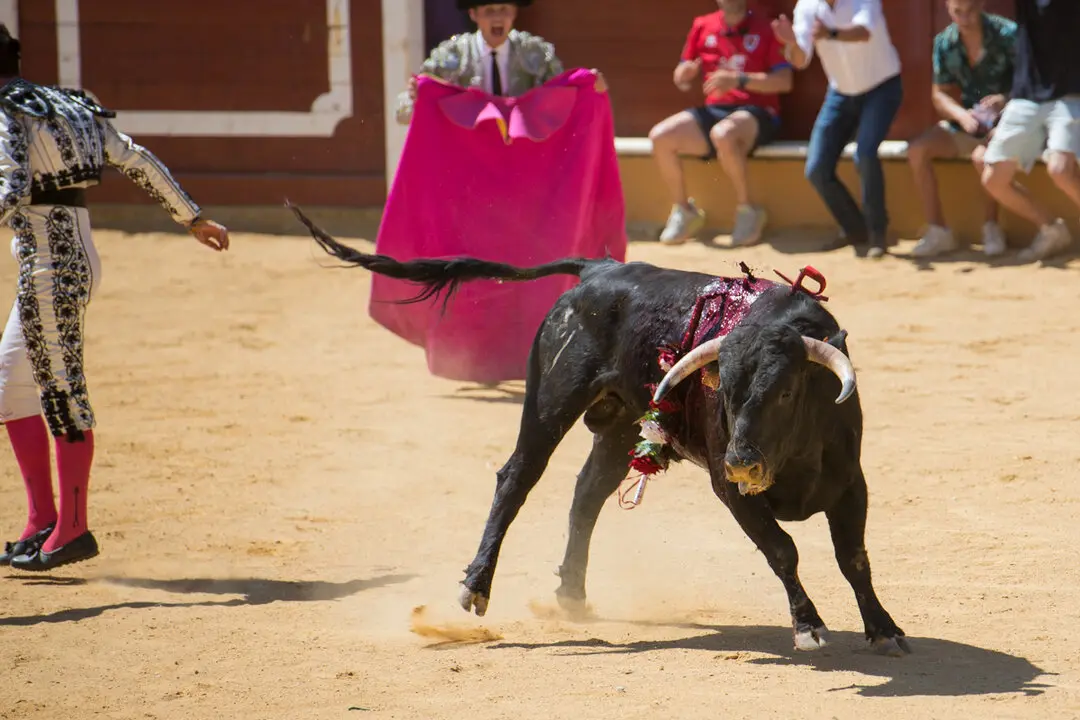Viernes de Toros (62)
