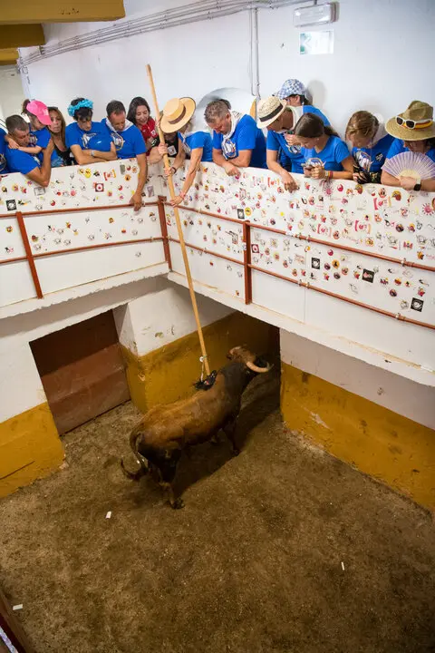 Viernes de Toros (80)
