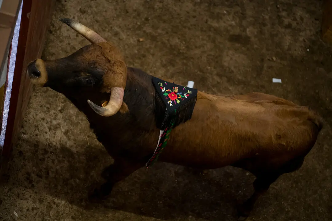 Viernes de Toros (82)