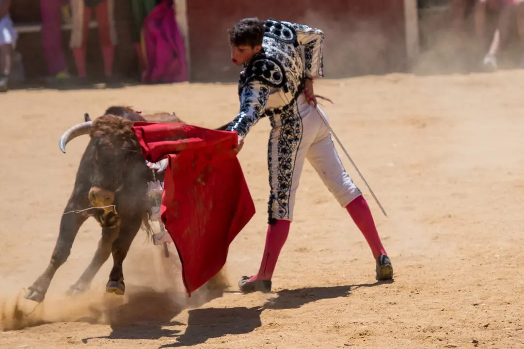 Viernes de Toros (94)