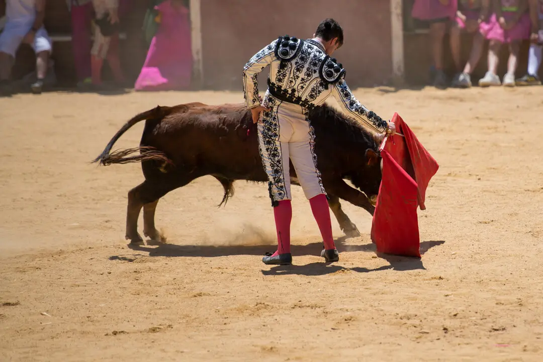 Viernes de Toros (97)