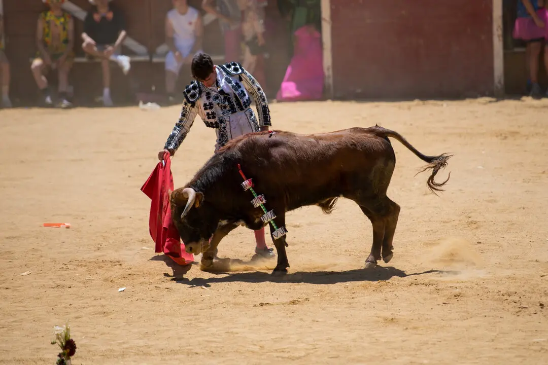 Viernes de Toros (98)