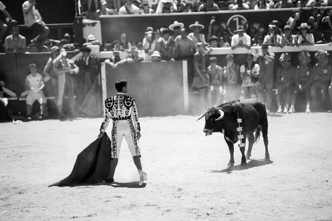 Viernes de Toros (99)