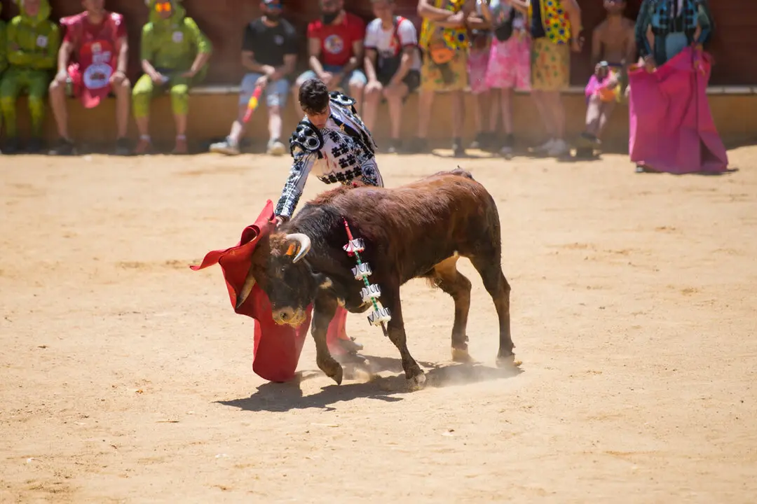Viernes de Toros (100)