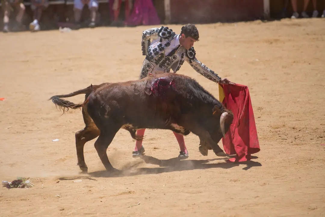 Viernes de Toros (101)