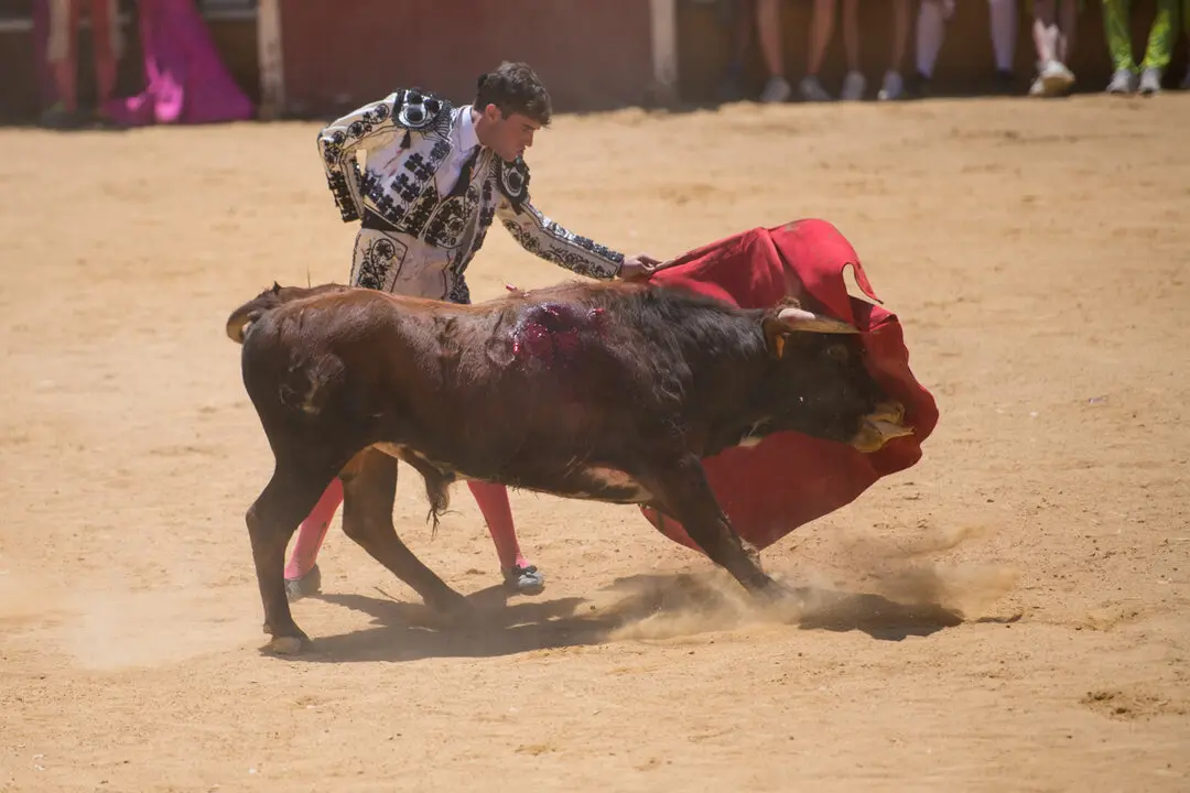 Viernes de Toros (102)