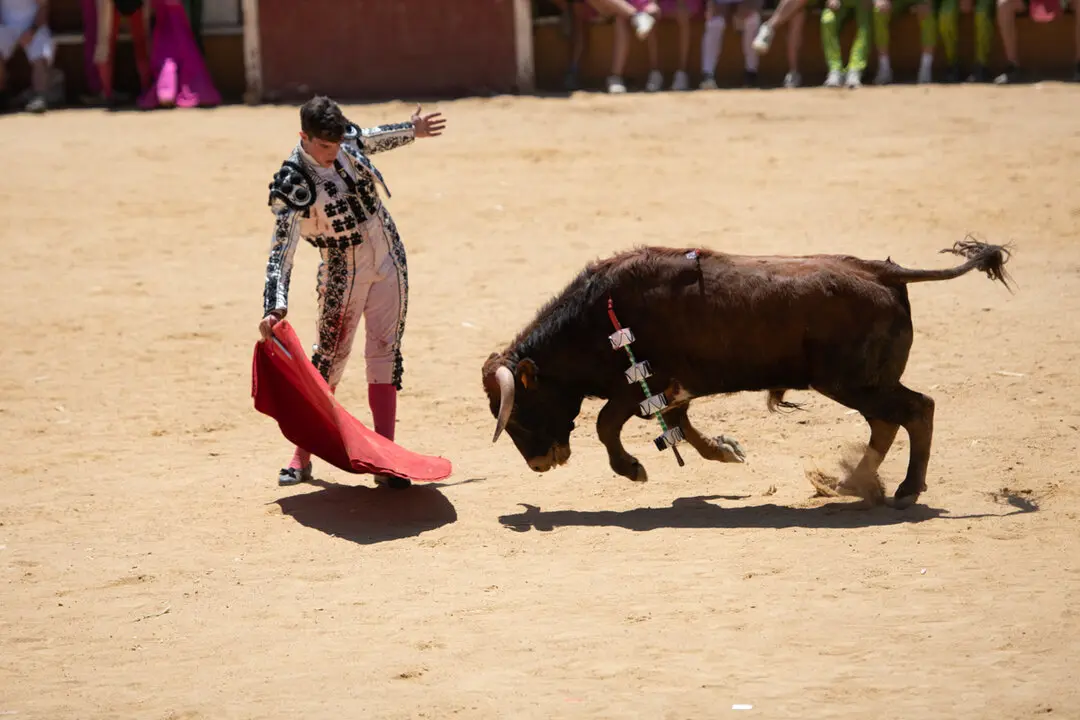 Viernes de Toros (104)