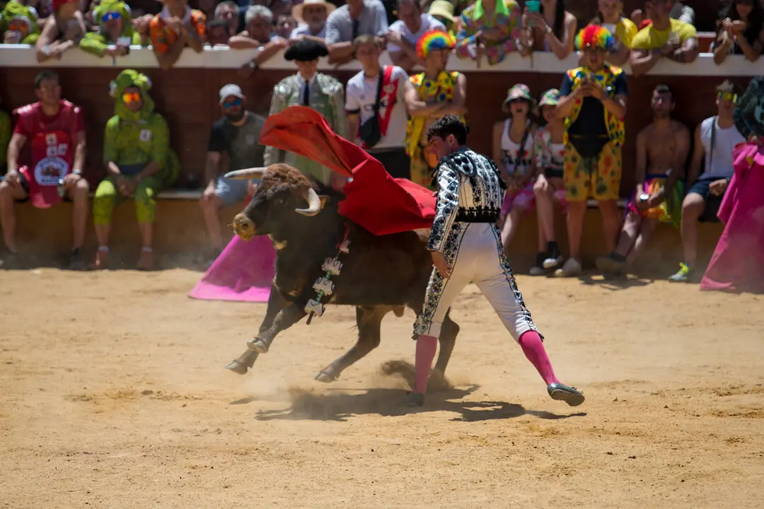 Viernes de Toros (106)
