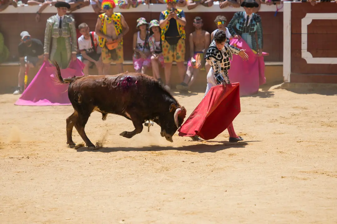 Viernes de Toros (107)